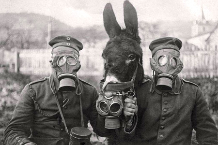Archive photo of German soldiers in gas masks - the donkey is wearing a mask too