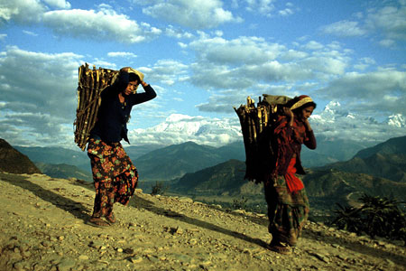 Nepalese women carry down firewood from the higher Himalayan reaches above Pokhara